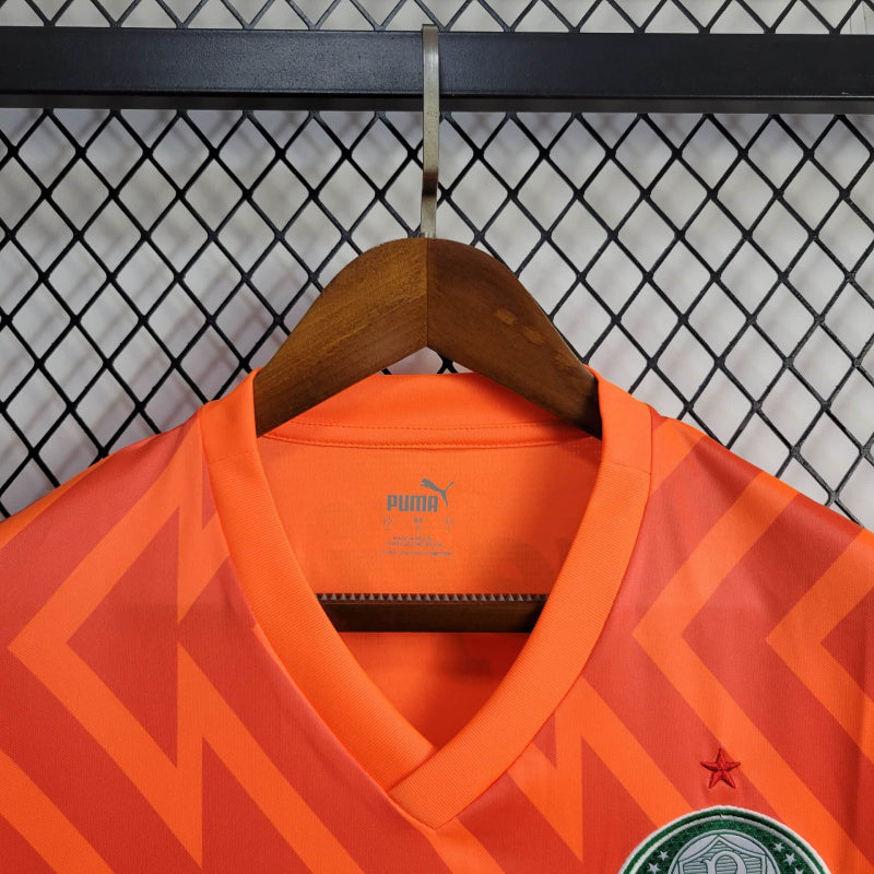 Camisa Palmeiras Goleiro Laranja 24/25 - Puma Torcedor Masculina